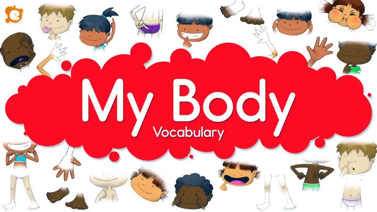 Отличное видео на тему body parts