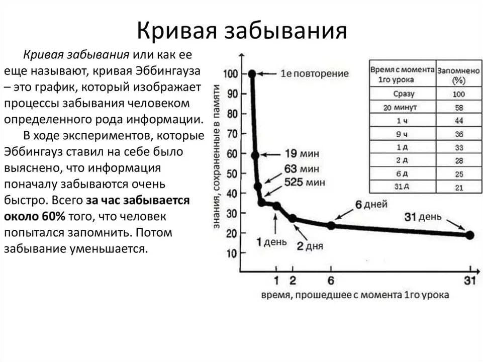 Почему важно повторение, и почему забывается то, что зубрил только перед экзаменом?