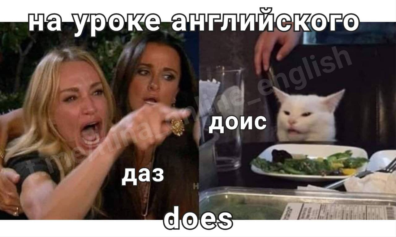 Очередной мем из жизни 😄
